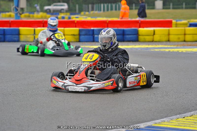 DSC_ (1097).jpg